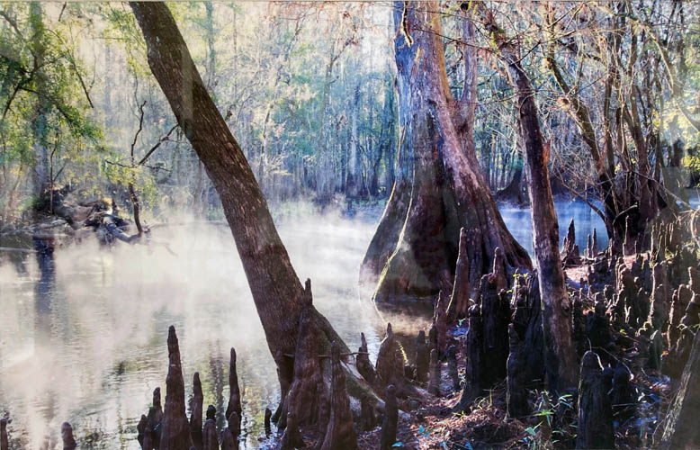 Photo of a swampy river with a lot of fog/steam