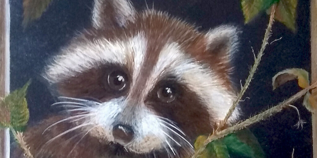 racoon oil painting