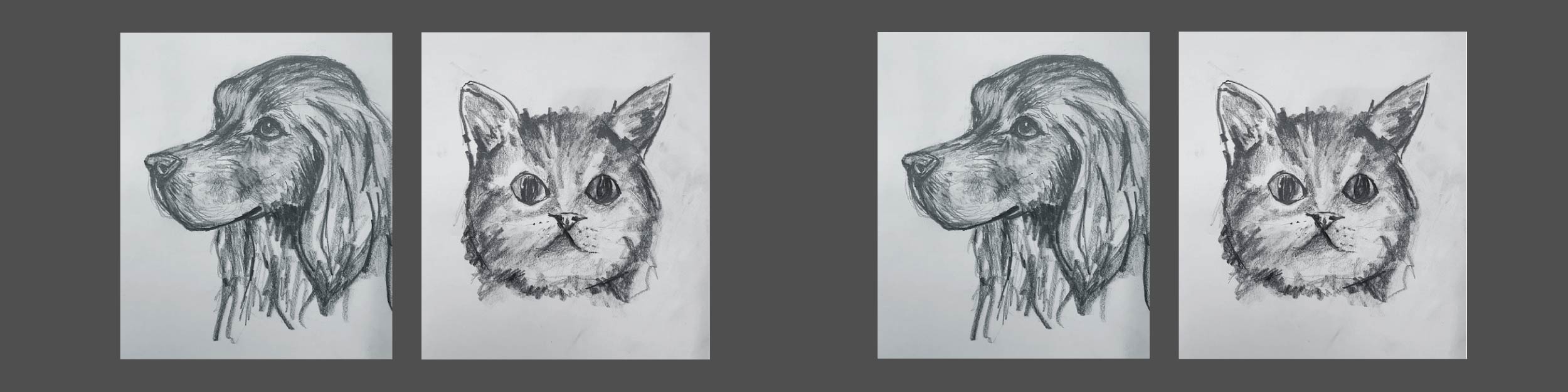 pet portraits