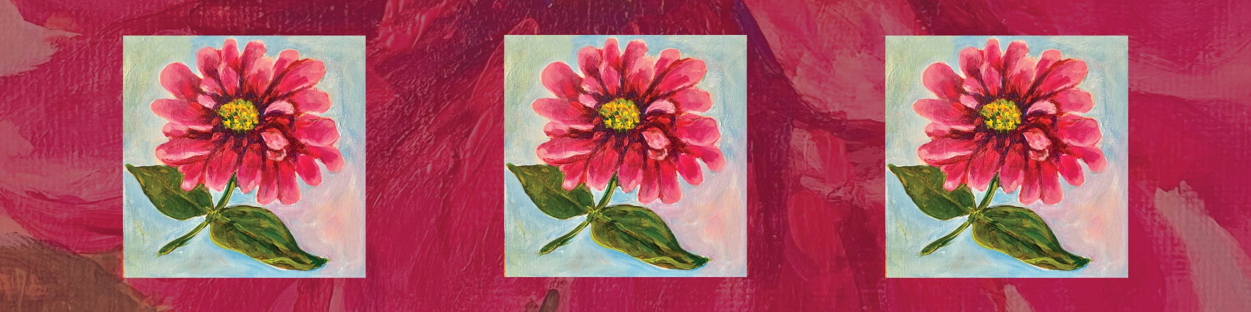 Nancy Crombie zinnia